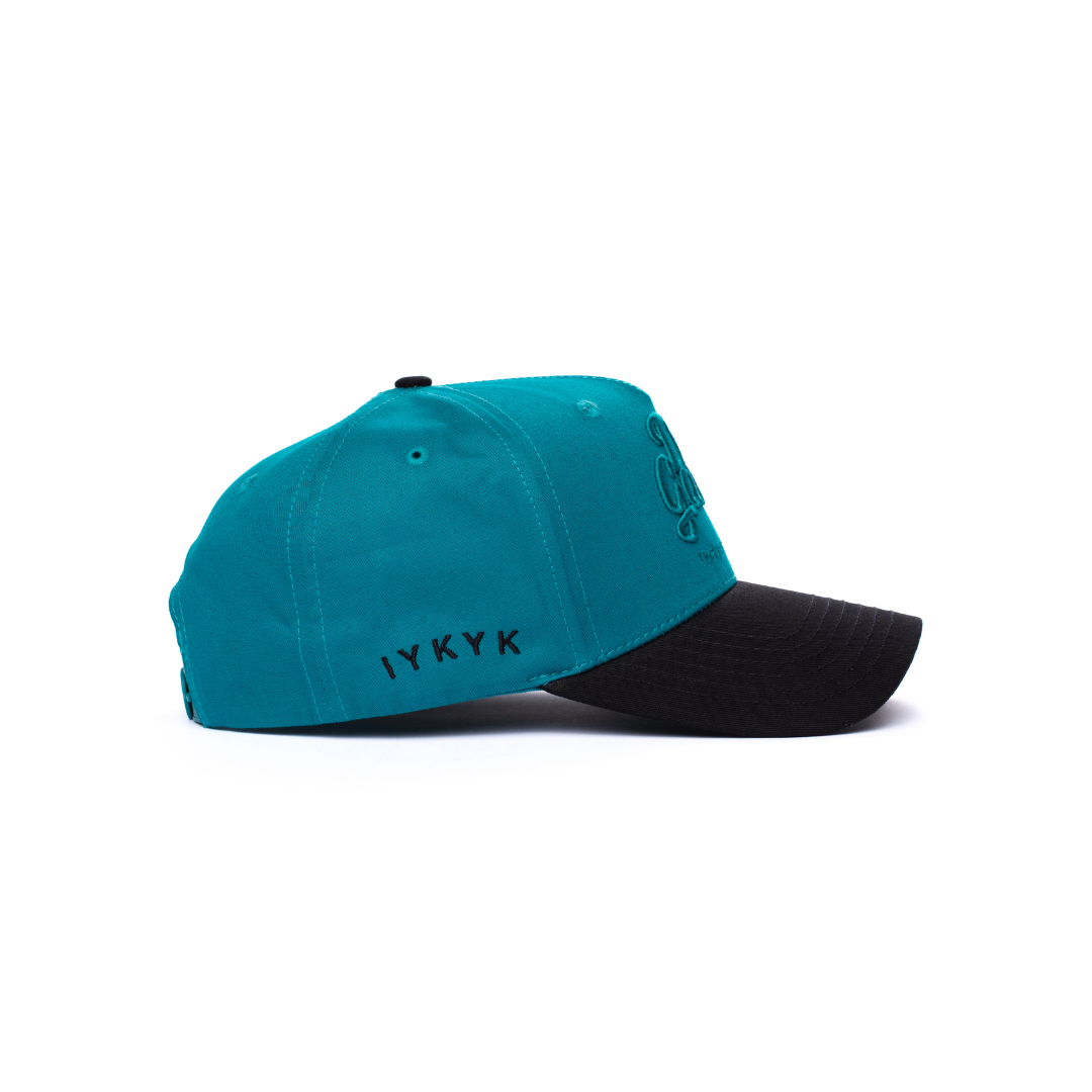 Teal on Teal Dad Gang Logo Hat