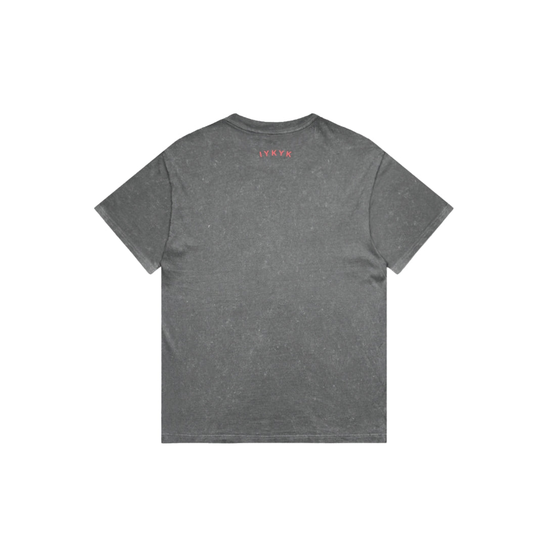 DG Tee - Wild Ride