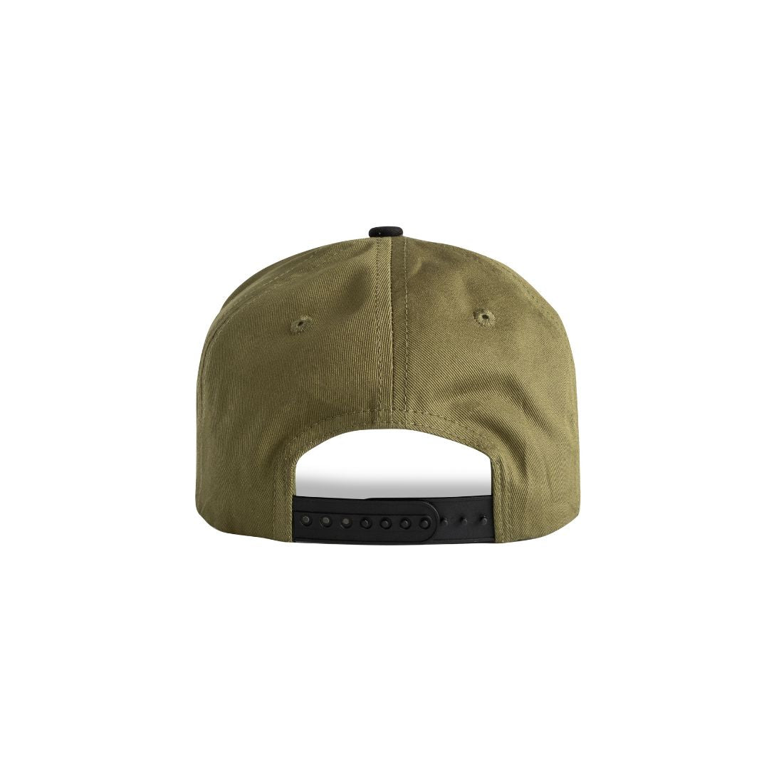 Olive & Black